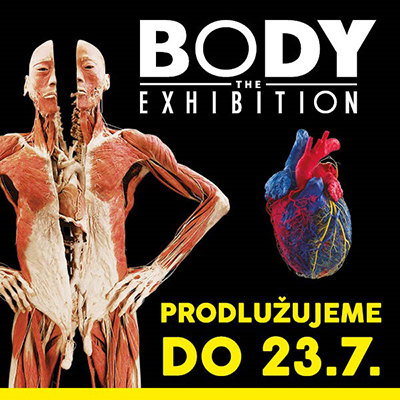 BODY THE EXHIBITION, Praha, 25/04/2017 09:30