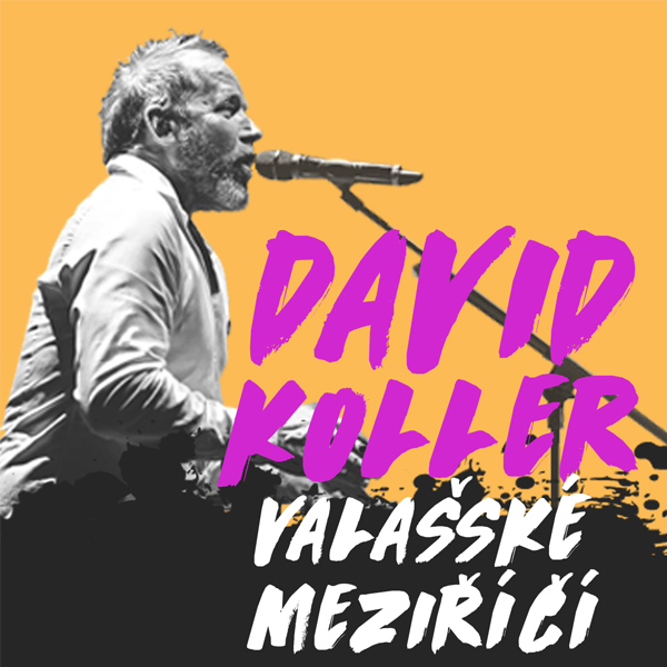 David Koller
