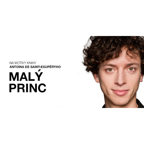 MALÝ PRINCNa motivy knihy Antoina de Saint-Exupéryho, Praha, 29/12/2018 11:00