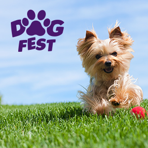DogFest 2018- Největší psí festival v republice- Praha -Letiště Letňany Praha